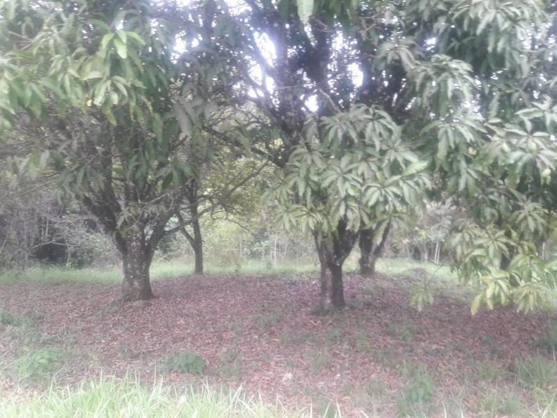 Foto 21
